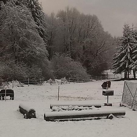 Muehlenhof Stadtkyll Esterno foto