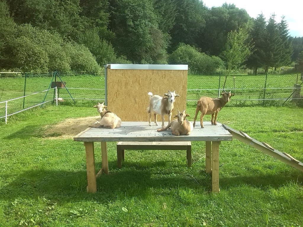 Muehlenhof Stadtkyll Esterno foto