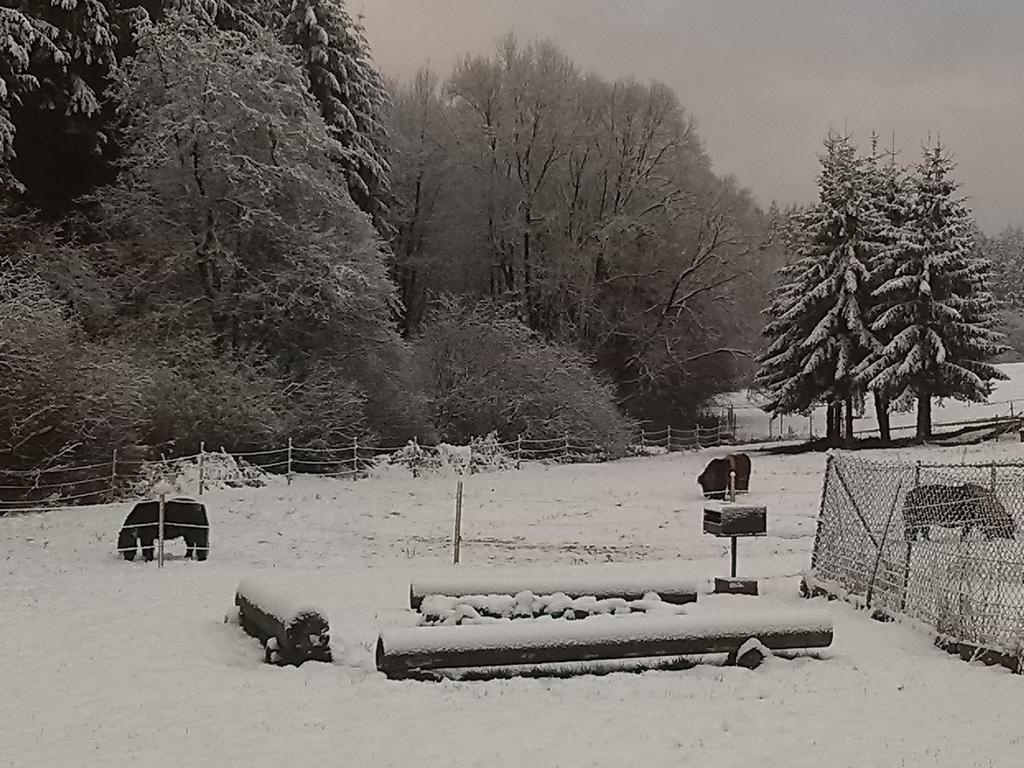 Muehlenhof Stadtkyll Esterno foto
